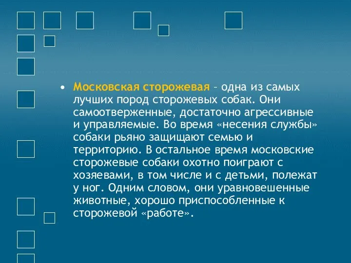 Московская сторожевая – одна из самых лучших пород сторожевых собак. Они