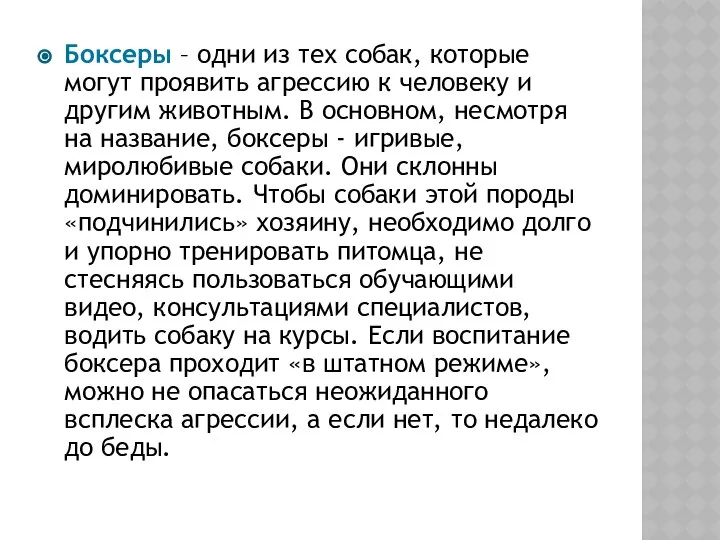 Боксеры – одни из тех собак, которые могут проявить агрессию к