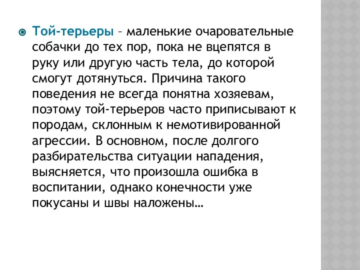 Той-терьеры – маленькие очаровательные собачки до тех пор, пока не вцепятся