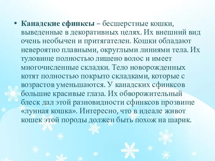 Канадские сфинксы – бесшерстные кошки, выведенные в декоративных целях. Их внешний