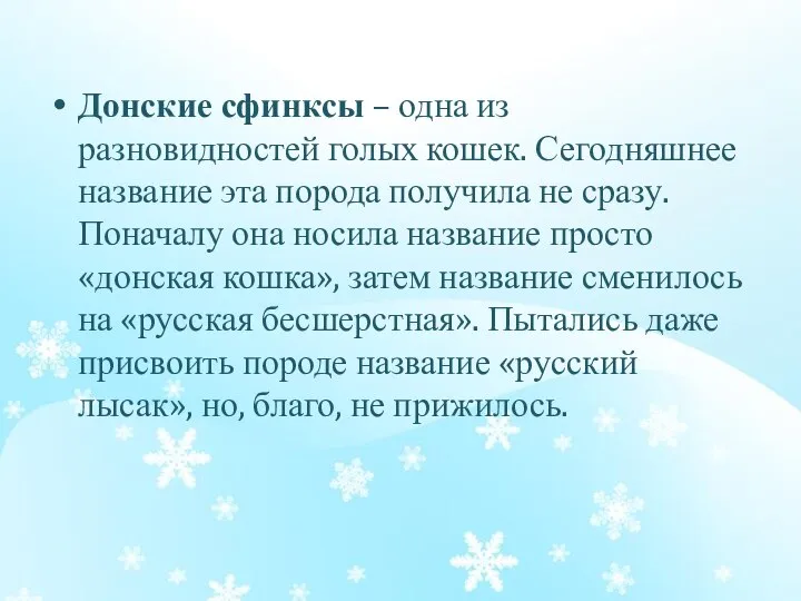 Донские сфинксы – одна из разновидностей голых кошек. Сегодняшнее название эта