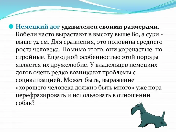 Немецкий дог удивителен своими размерами. Кобели часто вырастают в высоту выше