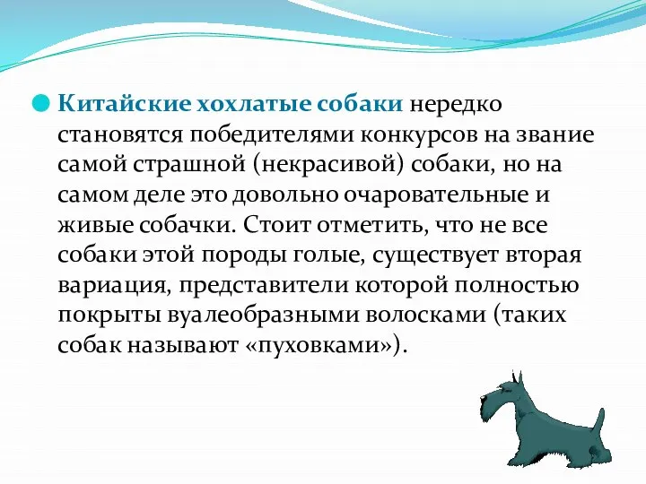 Китайские хохлатые собаки нередко становятся победителями конкурсов на звание самой страшной