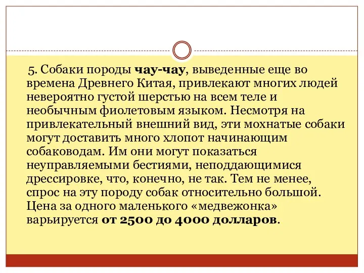 5. Собаки породы чау-чау, выведенные еще во времена Древнего Китая, привлекают