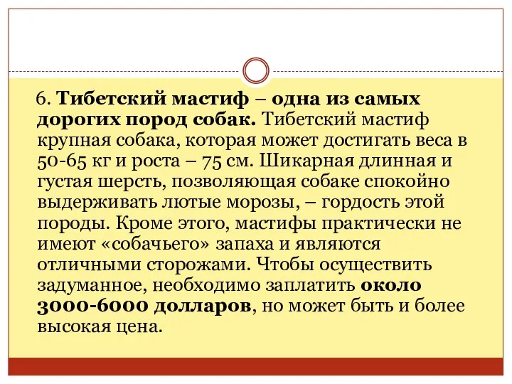 6. Тибетский мастиф – одна из самых дорогих пород собак. Тибетский