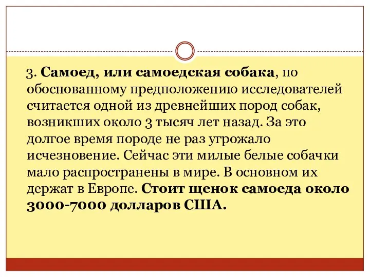 3. Самоед, или самоедская собака, по обоснованному предположению исследователей считается одной