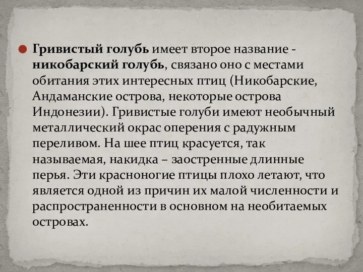 Гривистый голубь имеет второе название - никобарский голубь, связано оно с