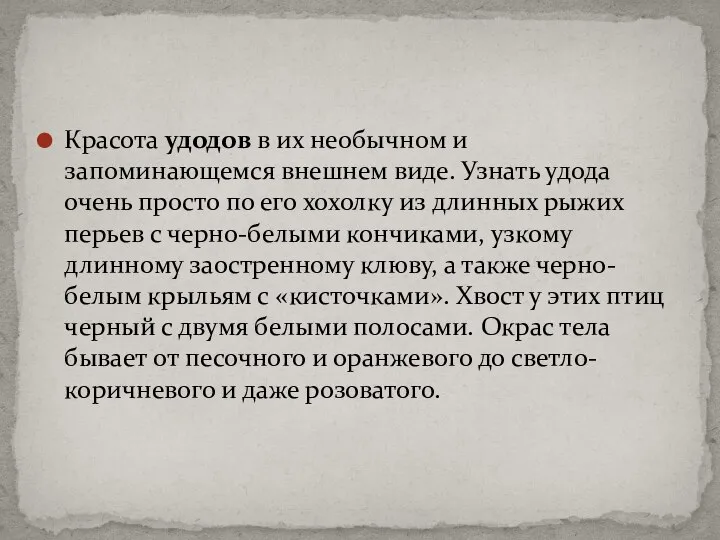 Красота удодов в их необычном и запоминающемся внешнем виде. Узнать удода