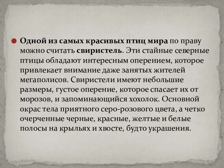 Одной из самых красивых птиц мира по праву можно считать свиристель.