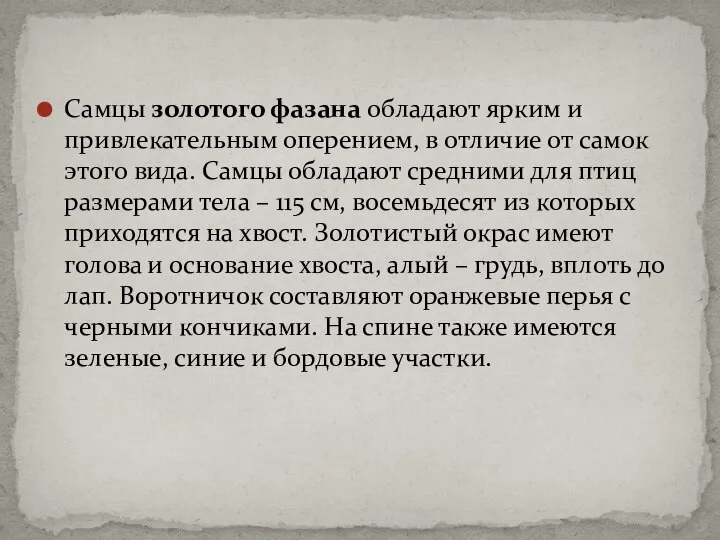 Самцы золотого фазана обладают ярким и привлекательным оперением, в отличие от