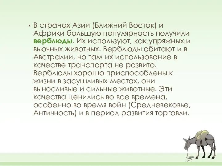 В странах Азии (Ближний Восток) и Африки большую популярность получили верблюды.