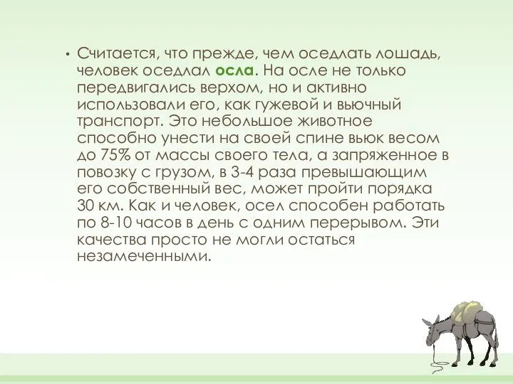 Считается, что прежде, чем оседлать лошадь, человек оседлал осла. На осле