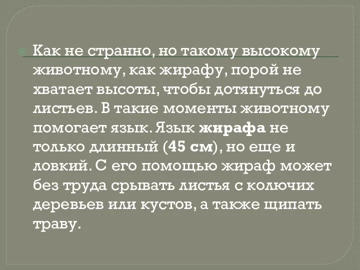 Как не странно, но такому высокому животному, как жирафу, порой не