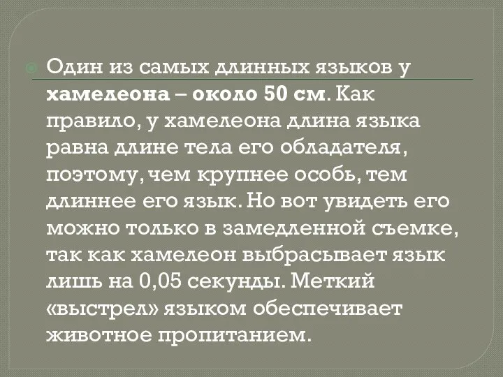 Один из самых длинных языков у хамелеона – около 50 см.