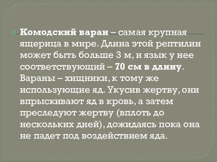 Комодский варан – самая крупная ящерица в мире. Длина этой рептилии