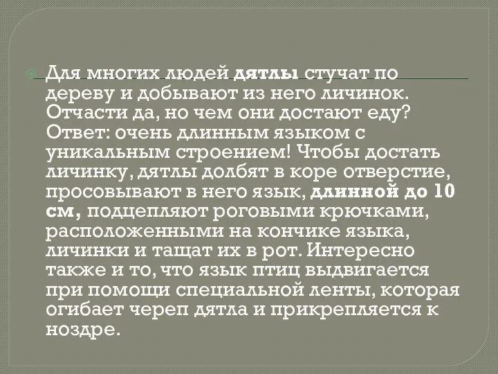 Для многих людей дятлы стучат по дереву и добывают из него