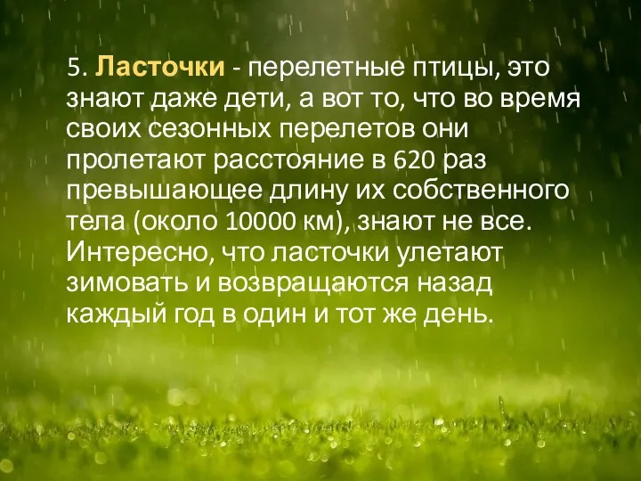 5. Ласточки - перелетные птицы, это знают даже дети, а вот