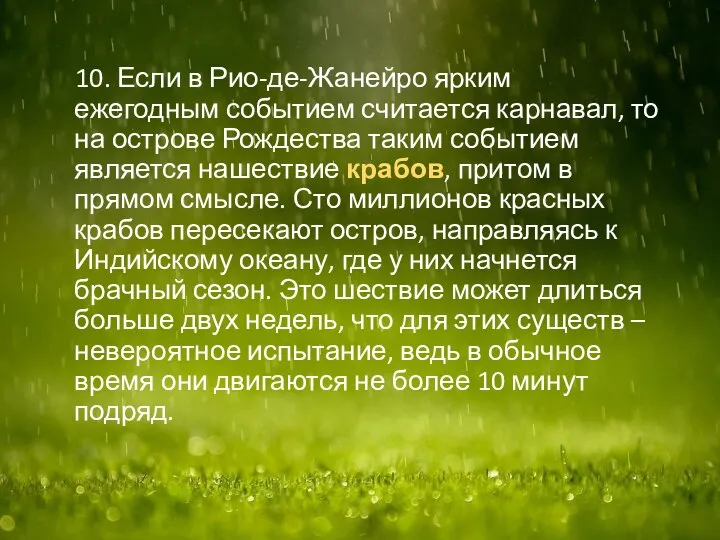 10. Если в Рио-де-Жанейро ярким ежегодным событием считается карнавал, то на