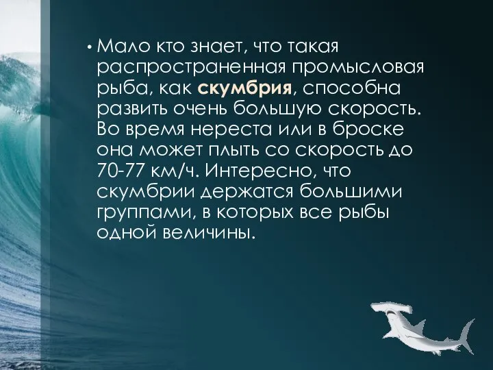 Мало кто знает, что такая распространенная промысловая рыба, как скумбрия, способна