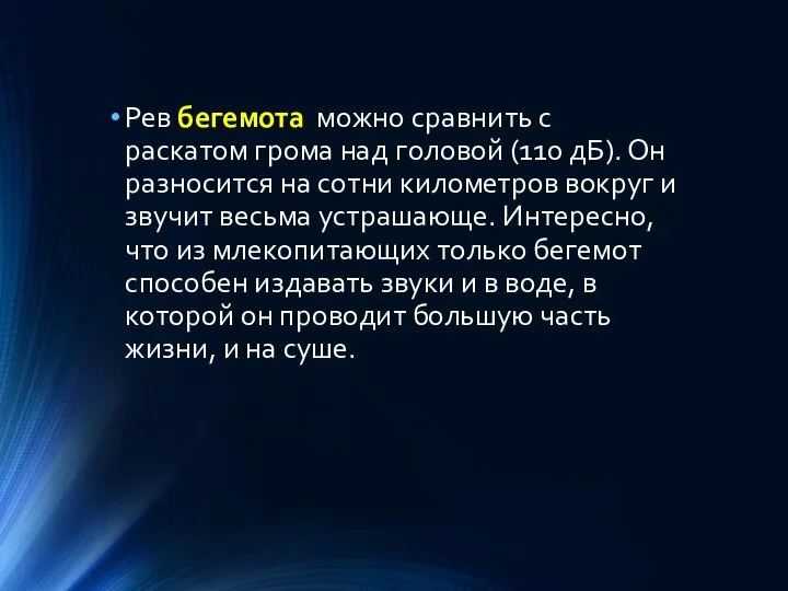 Рев бегемота можно сравнить с раскатом грома над головой (110 дБ).