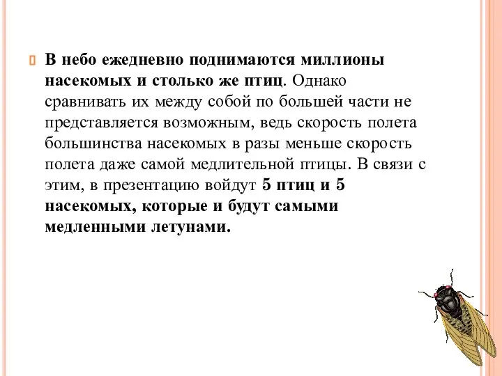 В небо ежедневно поднимаются миллионы насекомых и столько же птиц. Однако