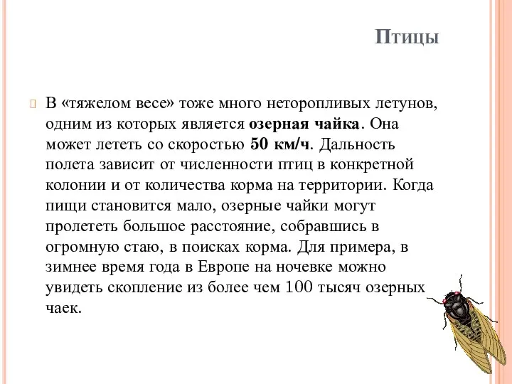 Птицы В «тяжелом весе» тоже много неторопливых летунов, одним из которых