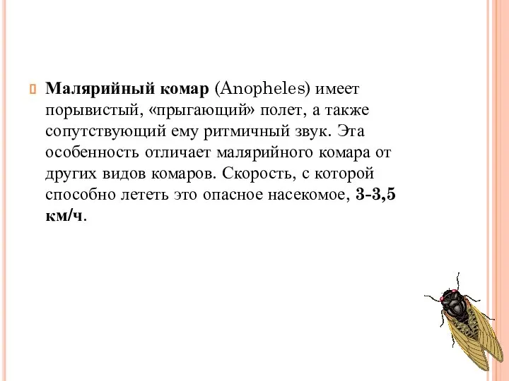 Малярийный комар (Anopheles) имеет порывистый, «прыгающий» полет, а также сопутствующий ему