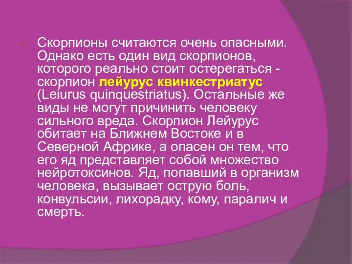 Скорпионы считаются очень опасными. Однако есть один вид скорпионов, которого реально