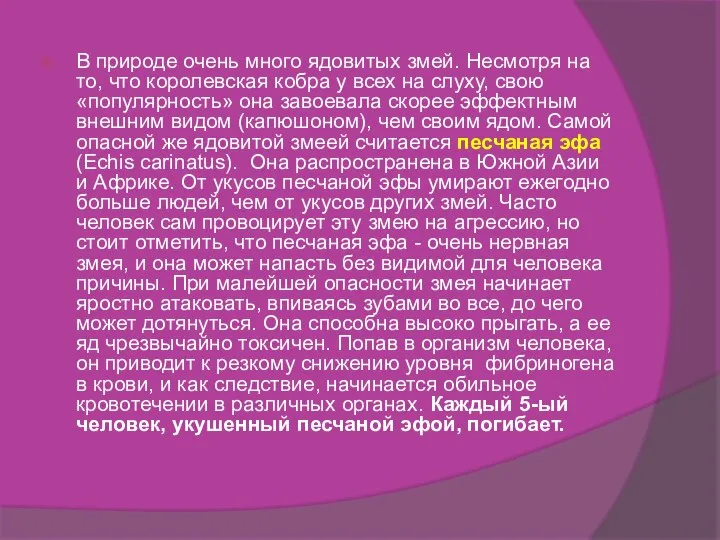 В природе очень много ядовитых змей. Несмотря на то, что королевская