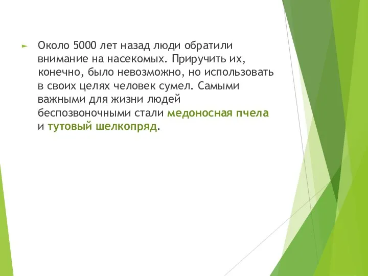 Около 5000 лет назад люди обратили внимание на насекомых. Приручить их,