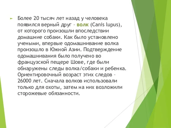 Более 20 тысяч лет назад у человека появился верный друг –