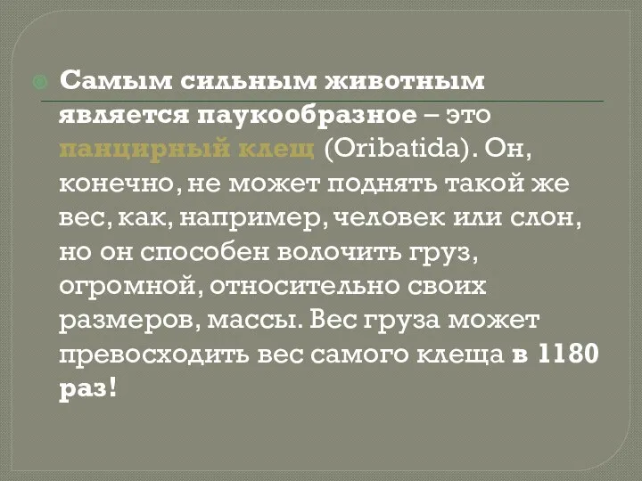 Самым сильным животным является паукообразное – это панцирный клещ (Oribatida). Он,