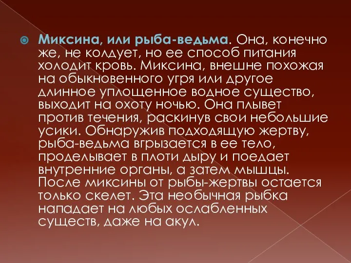 Миксина, или рыба-ведьма. Она, конечно же, не колдует, но ее способ