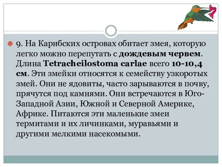 9. На Карибских островах обитает змея, которую легко можно перепутать с