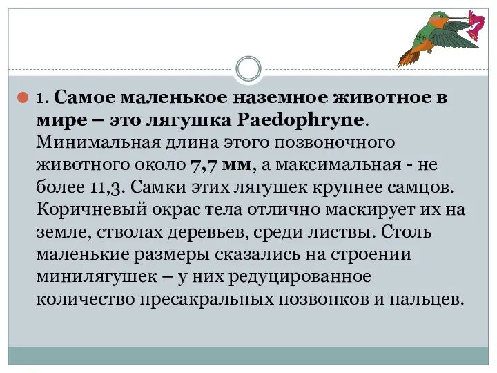 1. Самое маленькое наземное животное в мире – это лягушка Paedophryne.