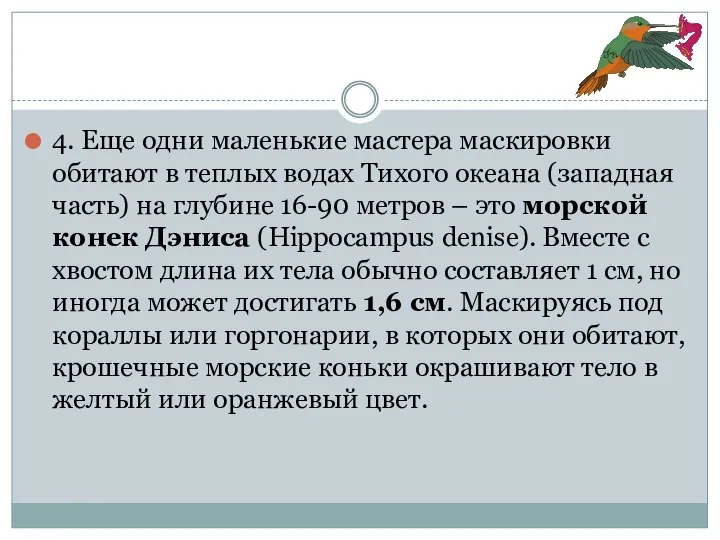 4. Еще одни маленькие мастера маскировки обитают в теплых водах Тихого