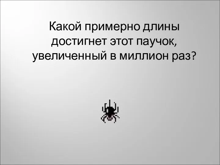 Какой примерно длины достигнет этот паучок, увеличенный в миллион раз?