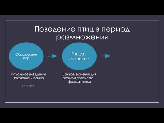 Поведение птиц в период размножения Образование пар Ритуальное поведение (токование и