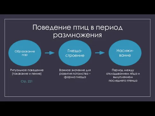 Поведение птиц в период размножения Образование пар Ритуальное поведение (токование и