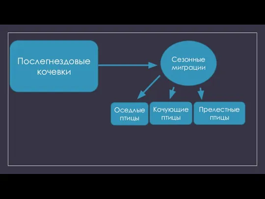 Сезонные миграции Оседлые птицы Кочующие птицы Прелестные птицы Послегнездовые кочевки