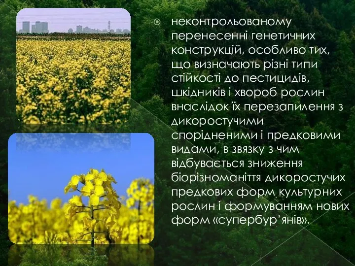 неконтрольованому перенесенні генетичних конструкцій, особливо тих, що визначають різні типи стійкості