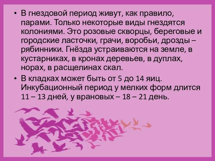 В гнездовой период живут, как правило, парами. Только некоторые виды гнездятся