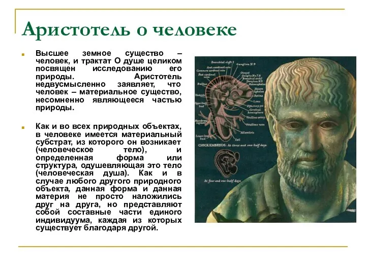 Аристотель о человеке Высшее земное существо – человек, и трактат О