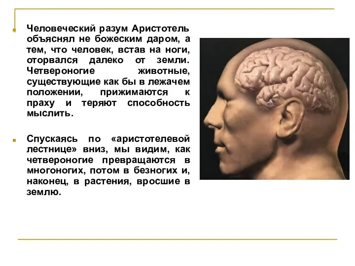 Человеческий разум Аристотель объяснял не божеским даром, а тем, что человек,