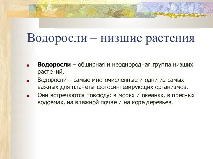 Водоросли – низшие растения Водоросли – обширная и неоднородная группа низших