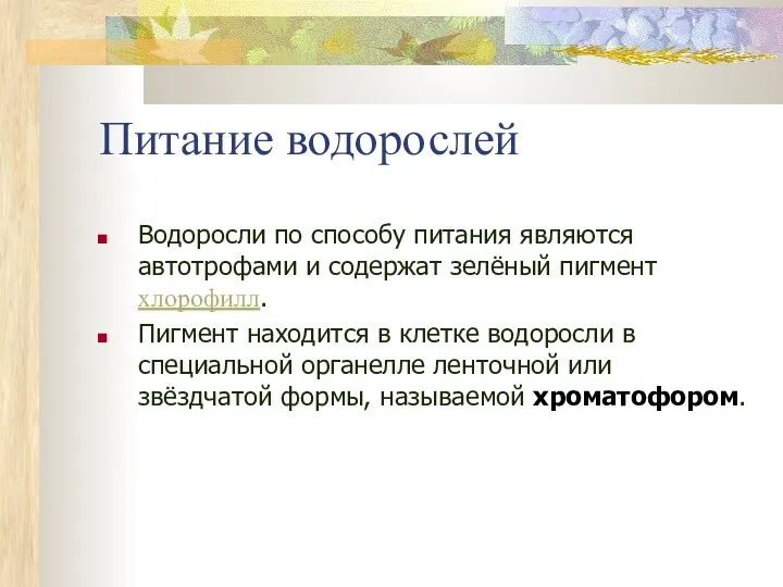 Питание водорослей Водоросли по способу питания являются автотрофами и содержат зелёный