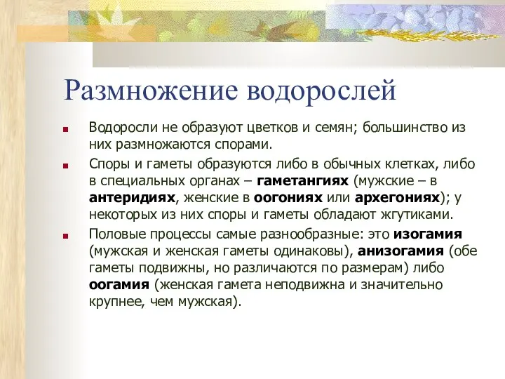 Размножение водорослей Водоросли не образуют цветков и семян; большинство из них