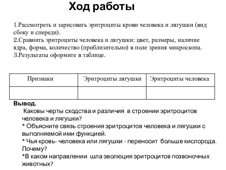 1.Рассмотреть и зарисовать эритроциты крови человека и лягушки (вид сбоку и