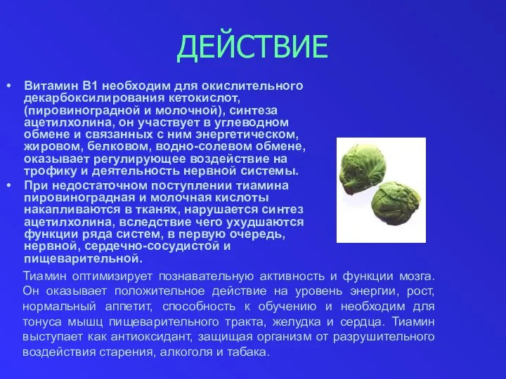 ДЕЙСТВИЕ Витамин B1 необходим для окислительного декарбоксилирования кетокислот, (пировиноградной и молочной),