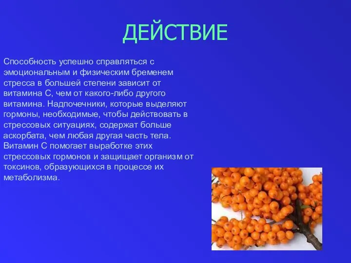 ДЕЙСТВИЕ Способность успешно справляться с эмоциональным и физическим бременем стресса в